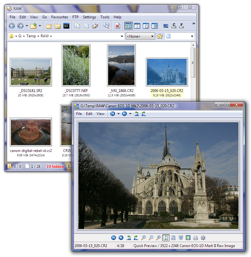 Raw image thumbnails and viewer window