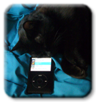 Meowski suggled up with her iPod